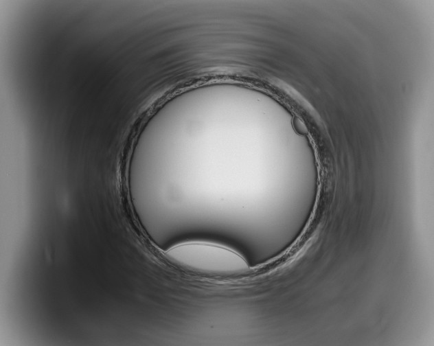 X0000100230969200805300722