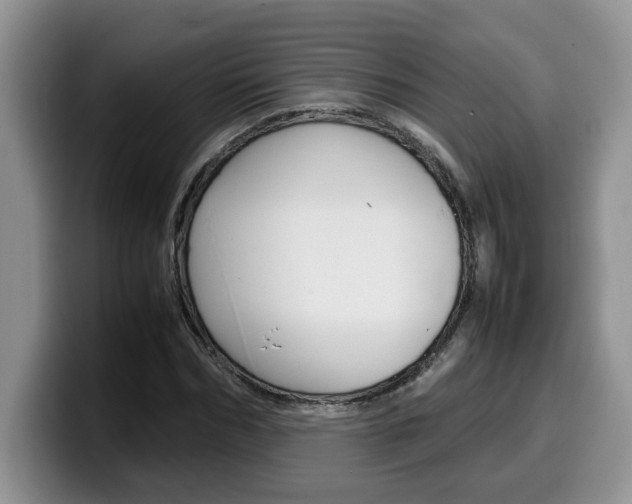 X0000100230970200805300722