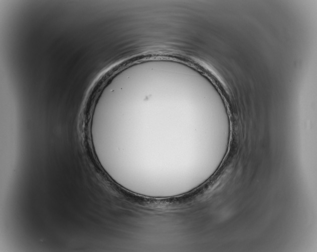 X0000100230971200805300722