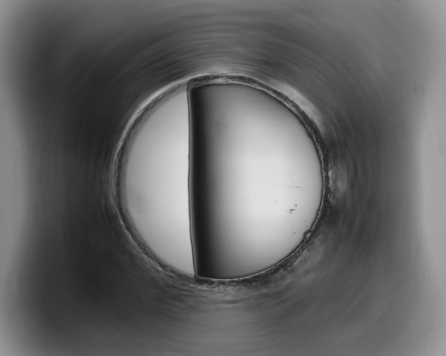 X0000100230972200805300722