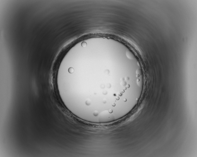 X0000100230974200805300722