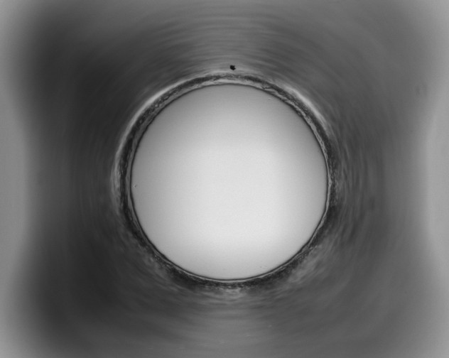 X0000100230975200805300722