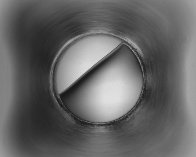 X0000100230976200805300722