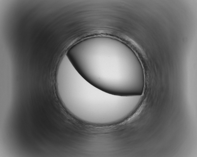 X0000100230977200805300722