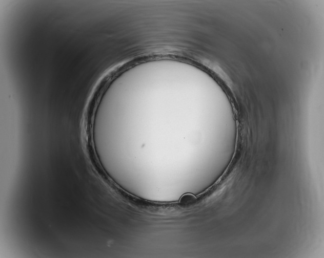 X0000100230979200805300722