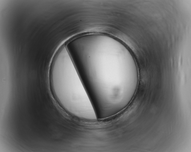 X0000100230980200805300722