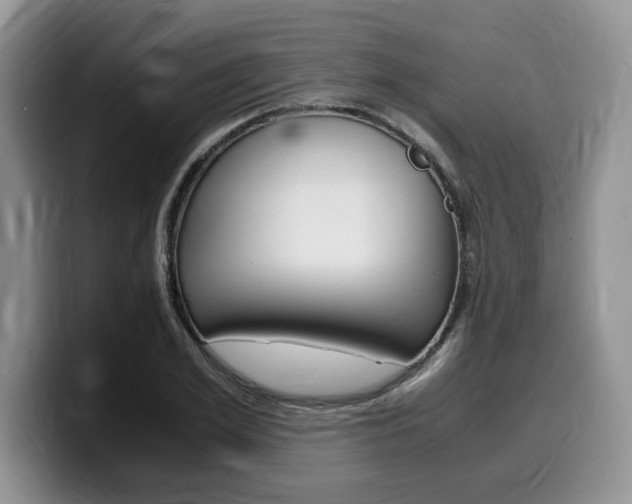 X0000100230981200805300722