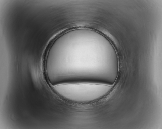 X0000100230983200805300722