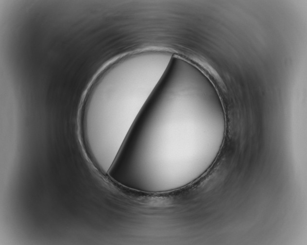 X0000100230984200805300722