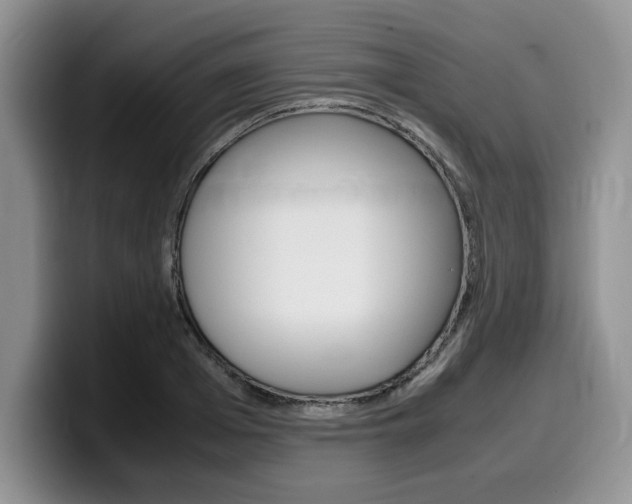 X0000100230985200805300722