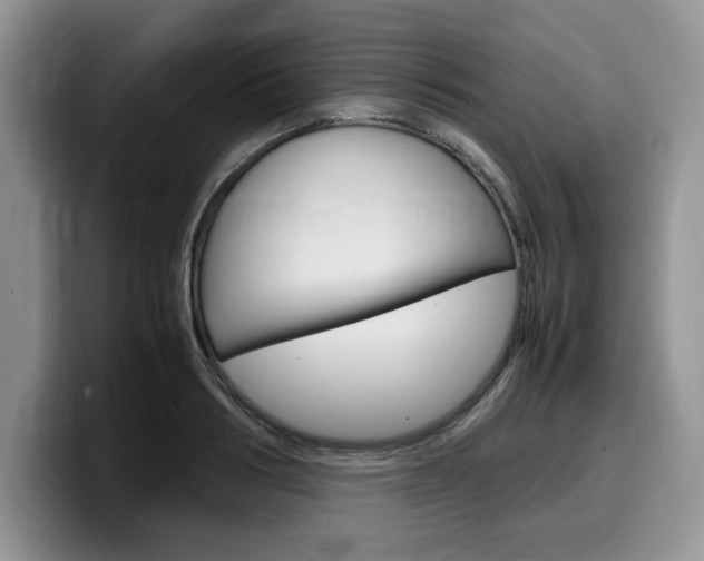 X0000100230986200805300721