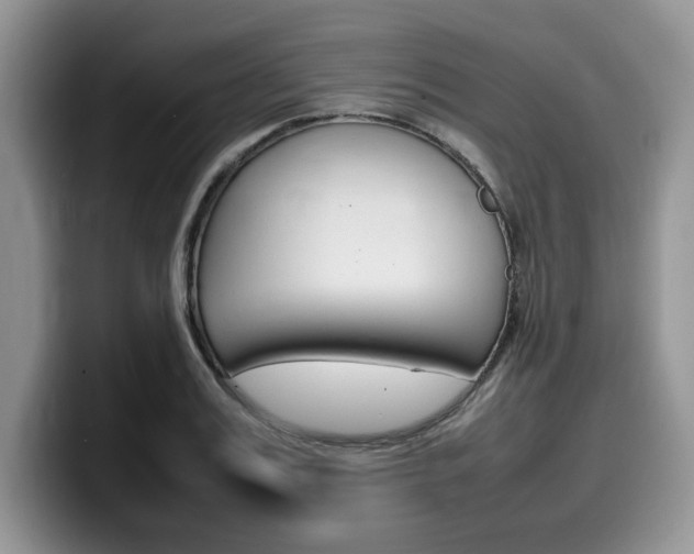 X0000100230987200805300721