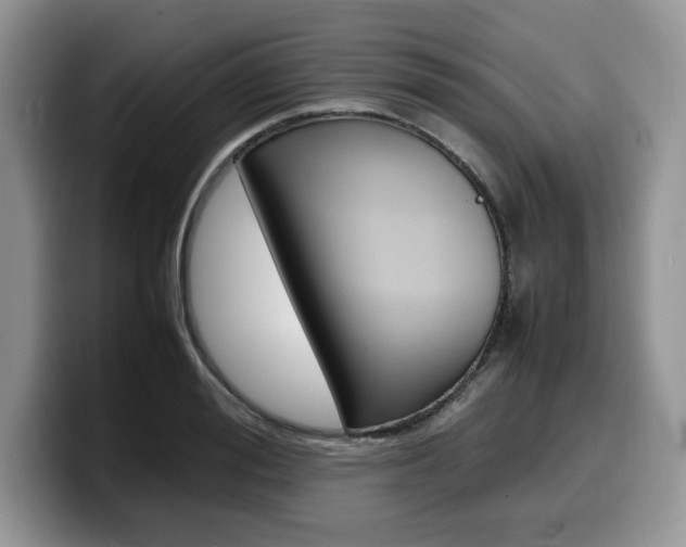 X0000100230988200805300721