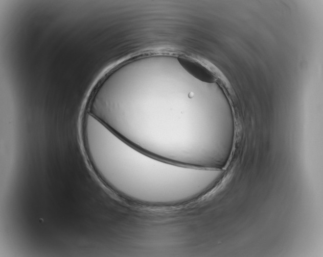 X0000100230989200805300721