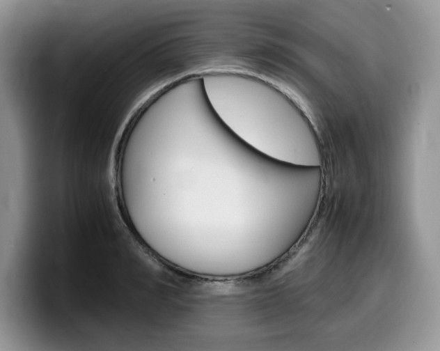 X0000100230990200805300721
