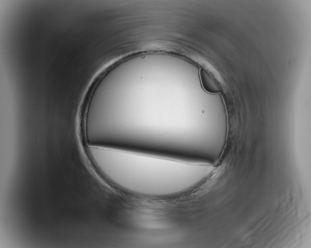 X0000100230991200805300721