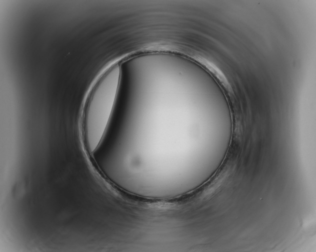 X0000100230992200805300721