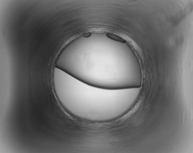 X0000100230993200805300721