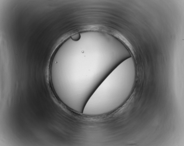 X0000100230994200805300721
