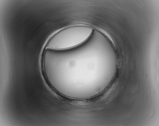 X0000100230995200805300721