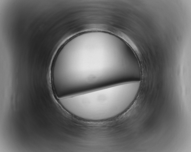 X0000100230996200805300721