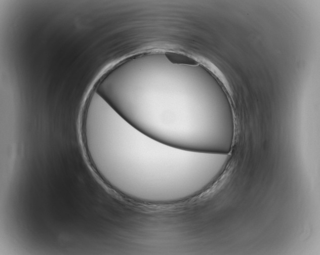 X0000100230997200805300721