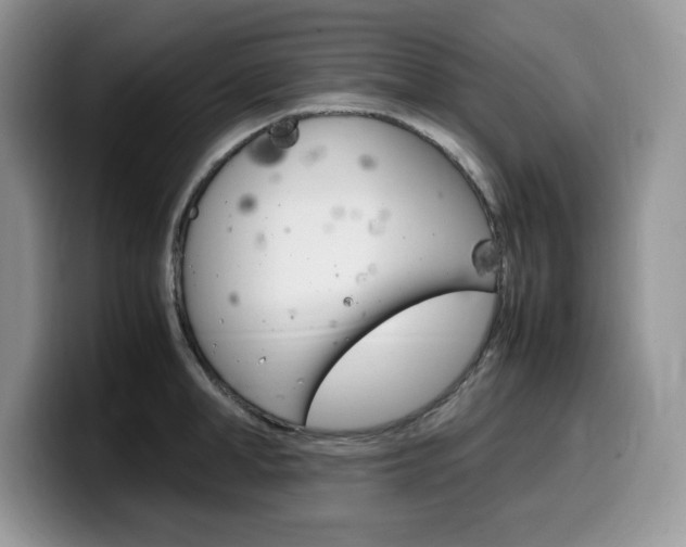 X0000100230998200805300721