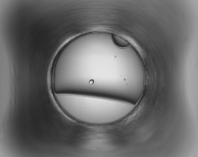 X0000100230999200805300721