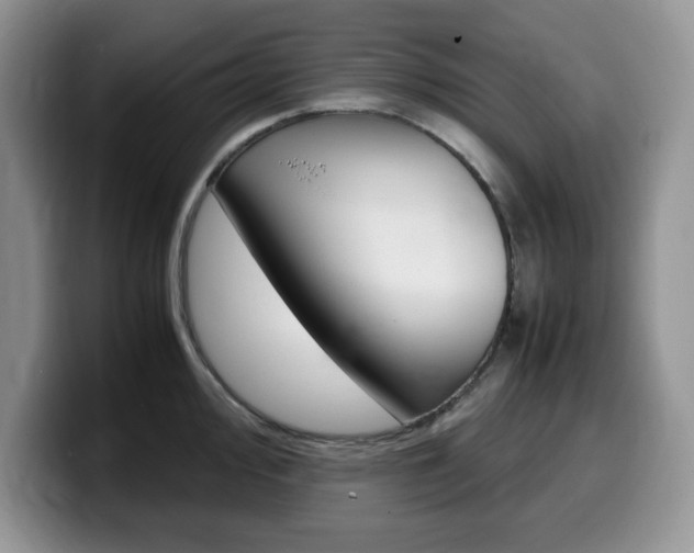 X0000100231000200805300721
