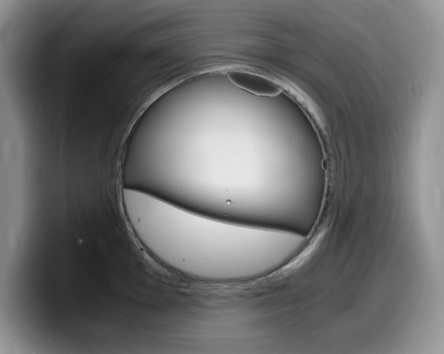 X0000100231001200805300721