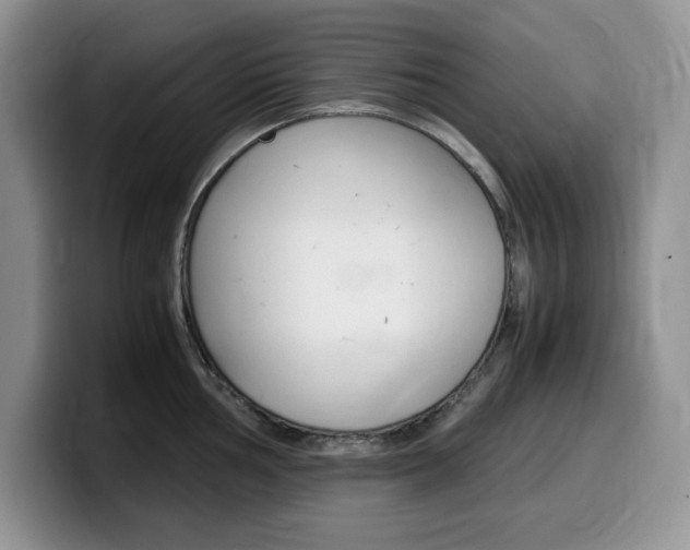 X0000100231002200805300721