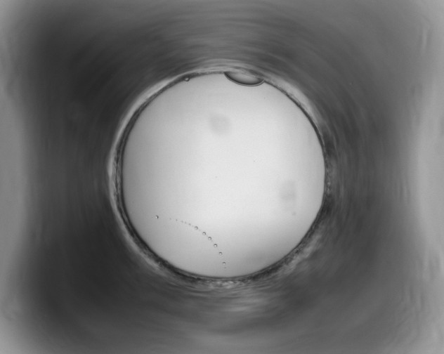 X0000100231003200805300721