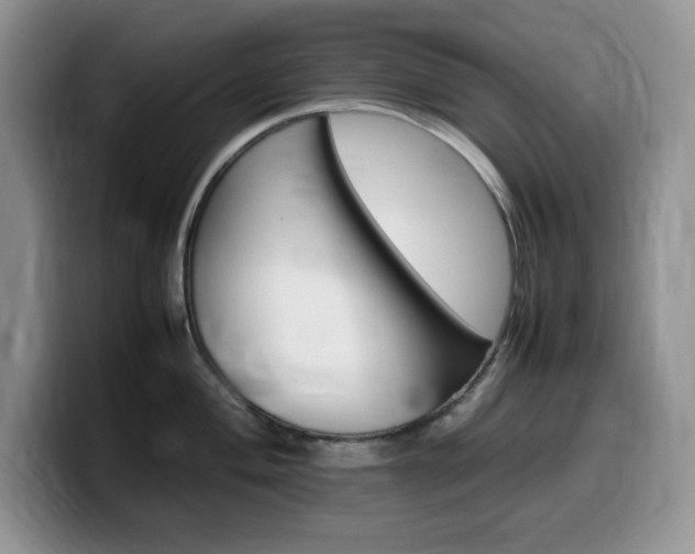 X0000100231004200805300721