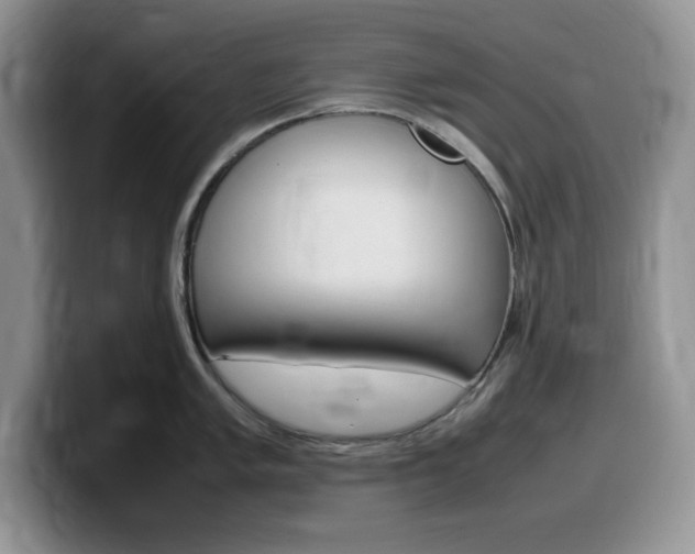 X0000100231005200805300721