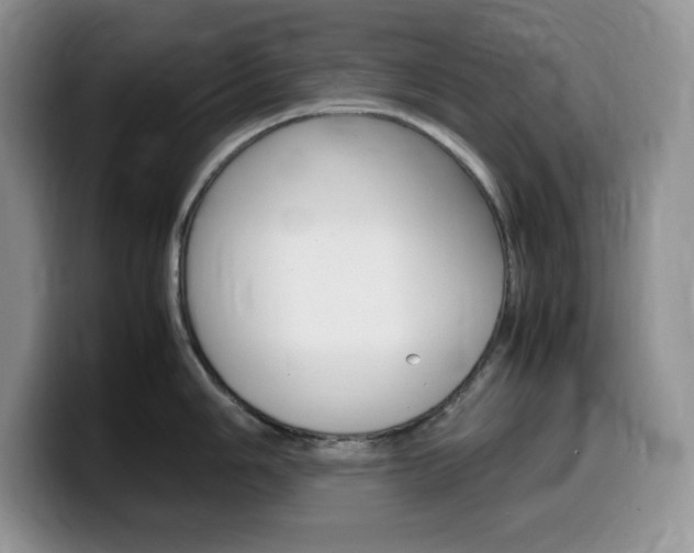 X0000100231006200805300721