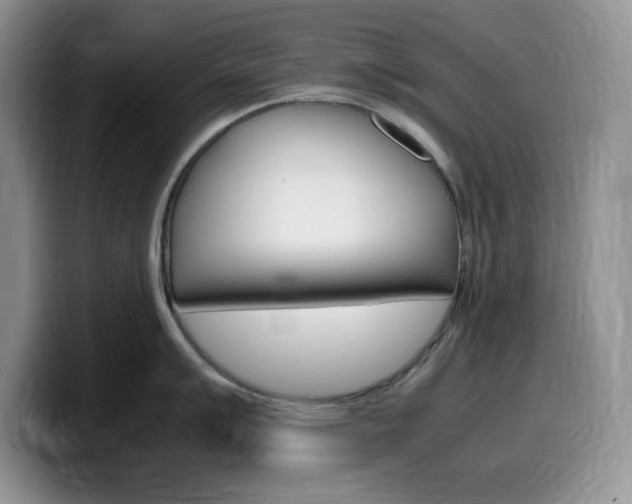 X0000100231007200805300721