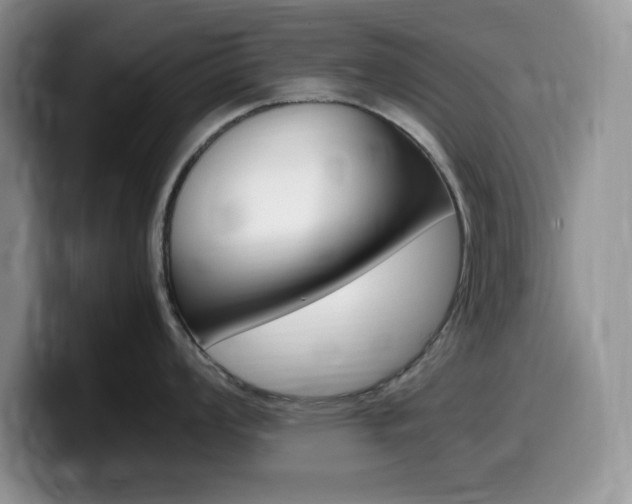 X0000100231008200805300721