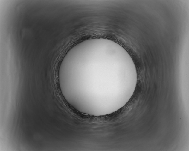 X0000100231009200805300721