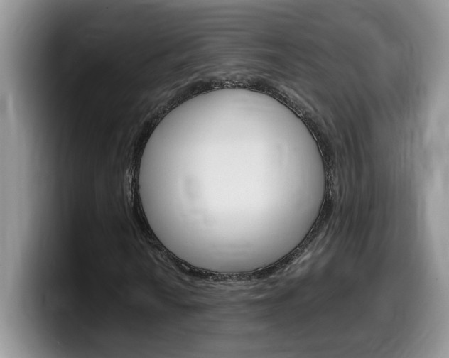 X0000100231010200805300721