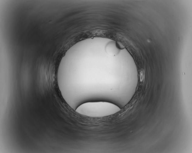 X0000100231011200805300721