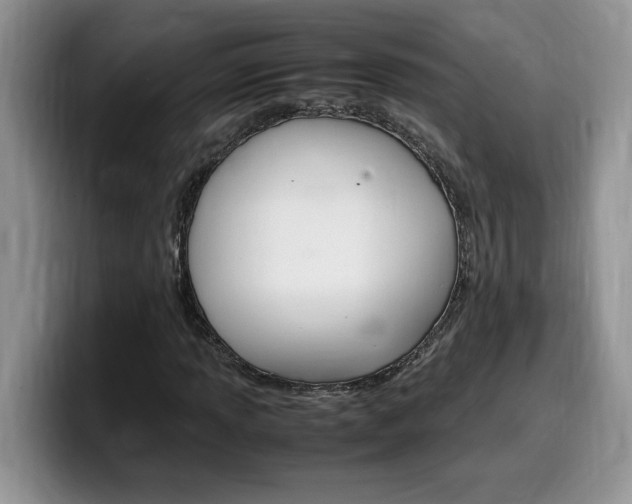 X0000100231013200805300721