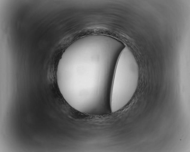 X0000100231014200805300721