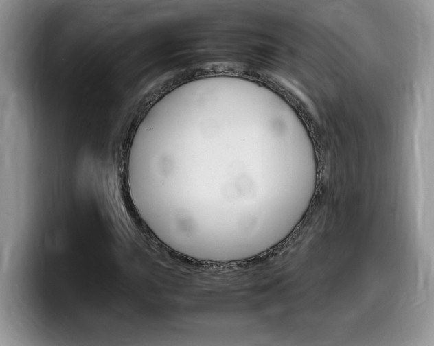 X0000100231015200805300721
