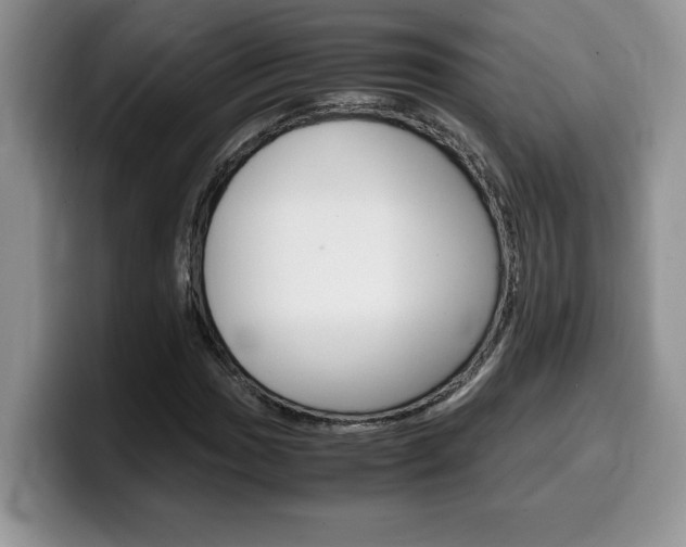 X0000100231017200805300721