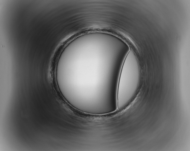 X0000100231018200805300721