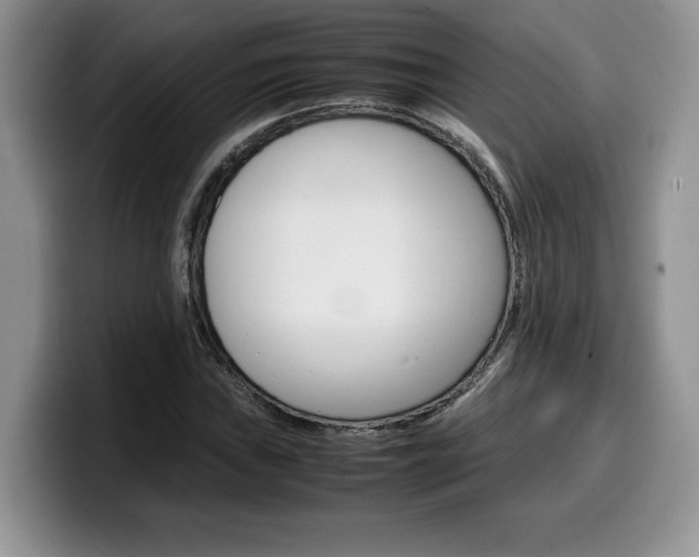 X0000100231019200805300721