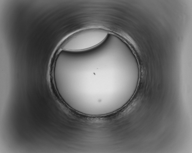 X0000100231020200805300721