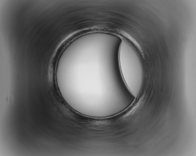 X0000100231021200805300721