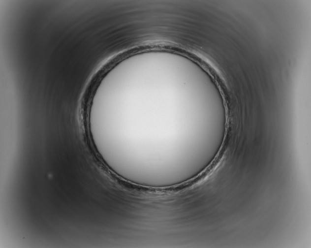 X0000100231022200805300721