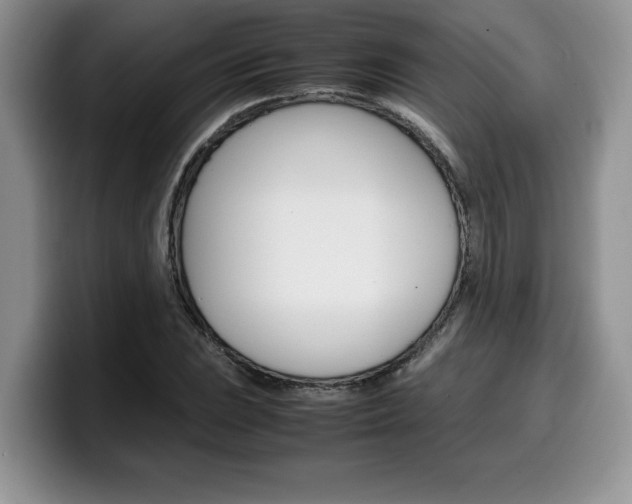 X0000100231023200805300721